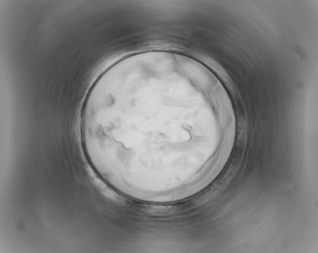 X0000110971439200907171701