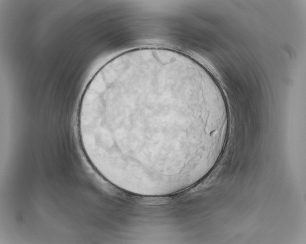 X0000110971440200907171701