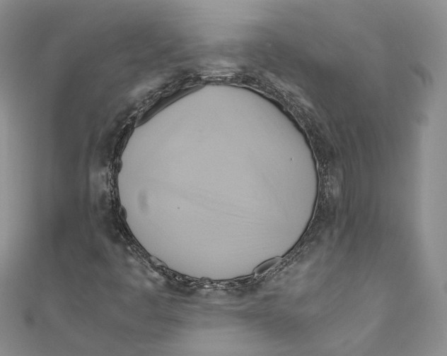 X0000110971445200907171700