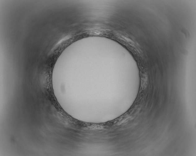 X0000110971446200907171700