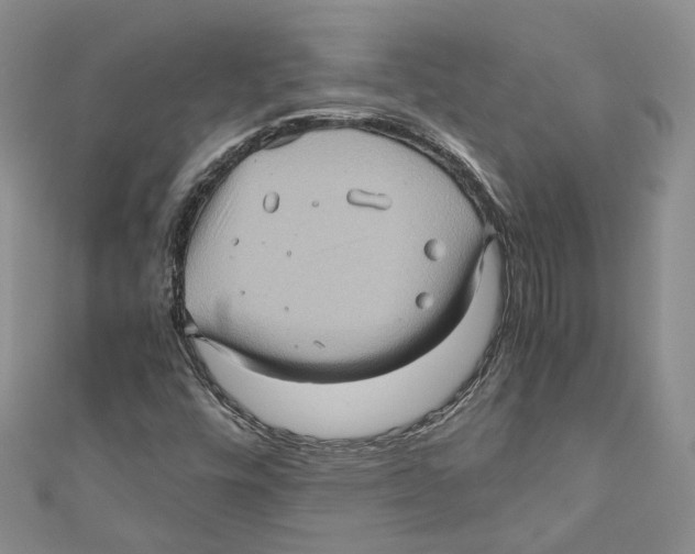 X0000110971448200907171700