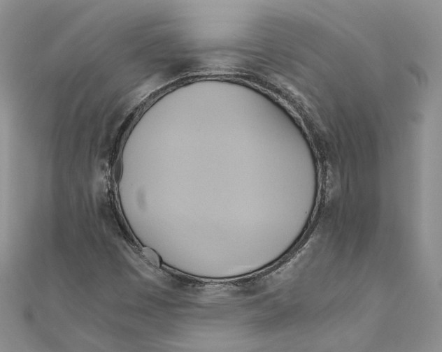 X0000110971449200907171700