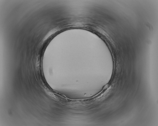 X0000110971450200907171700