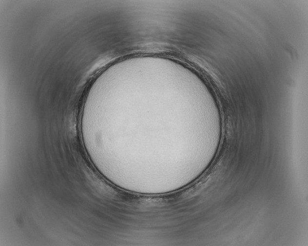 X0000110971451200907171700