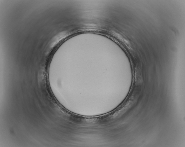 X0000110971453200907171700