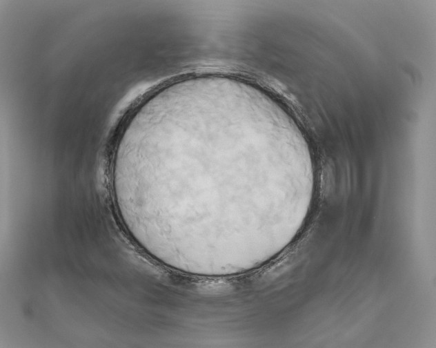 X0000110971454200907171700
