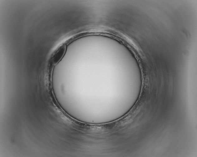 X0000110971456200907171700