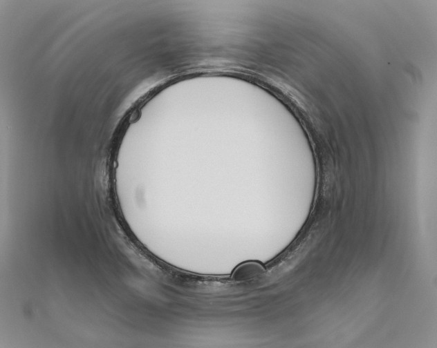 X0000110971458200907171700