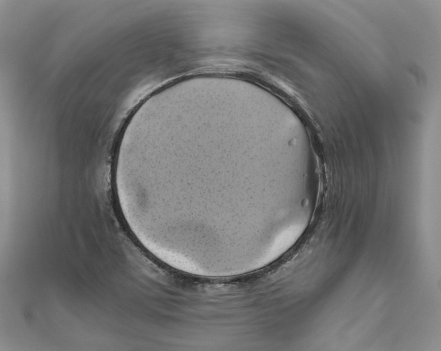 X0000110971459200907171700