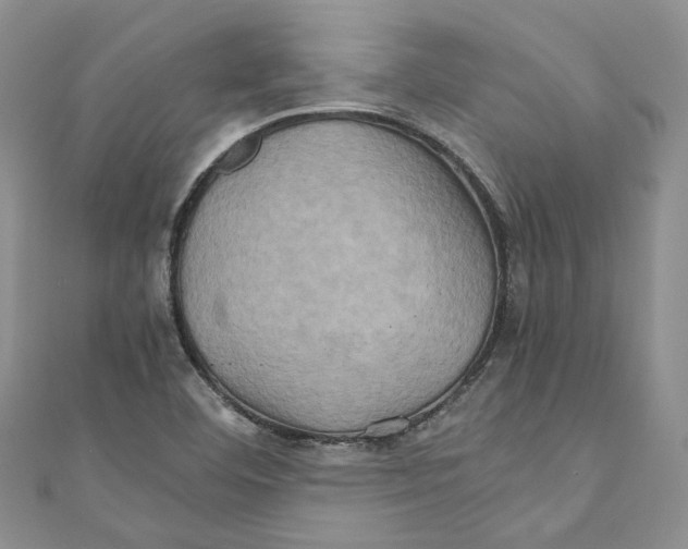 X0000110971460200907171700