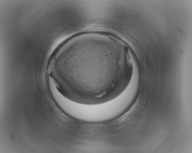 X0000110971461200907171700