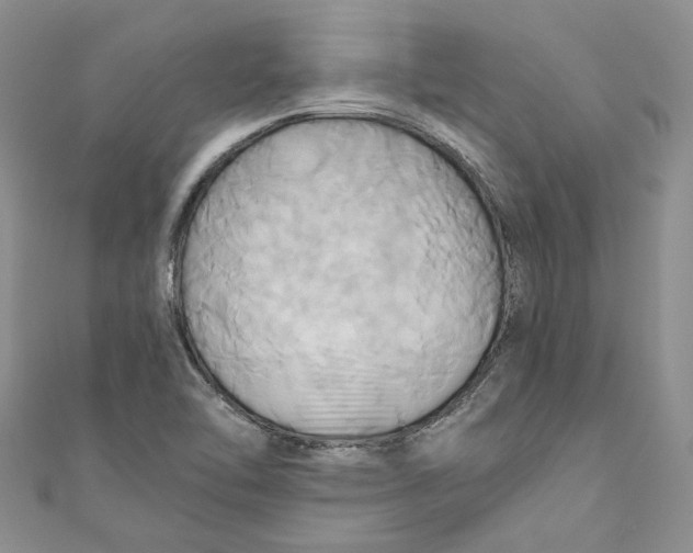 X0000110971462200907171700