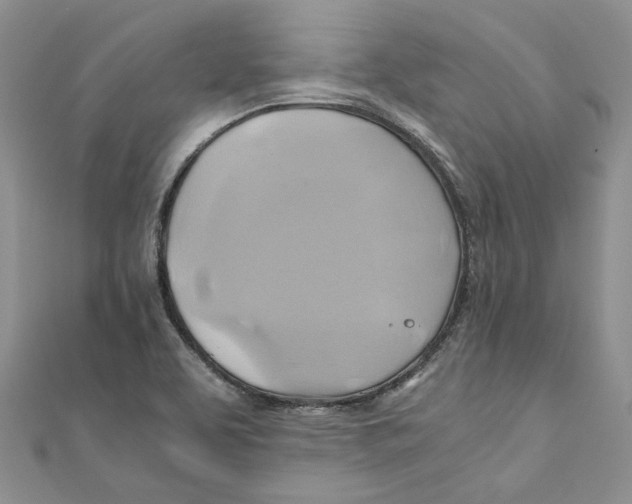 X0000110971463200907171700