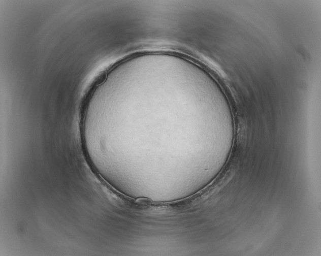 X0000110971464200907171700
