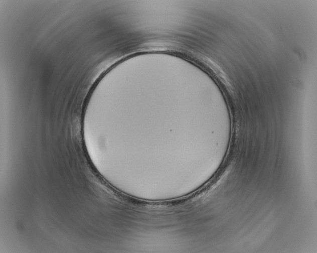 X0000110971465200907171700