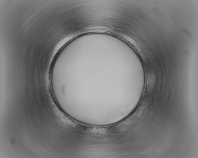X0000110971466200907171700