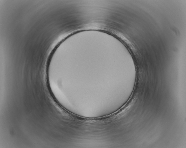 X0000110971469200907171700