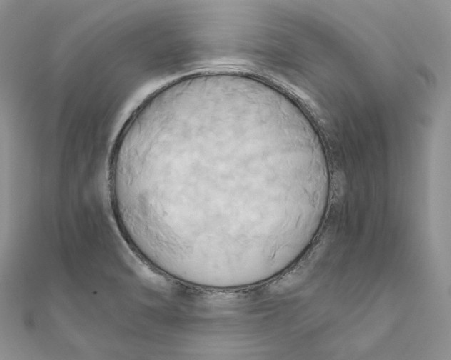 X0000110971470200907171700