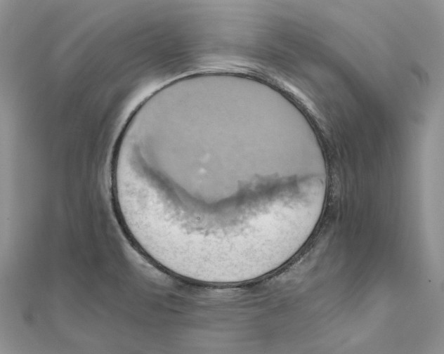 X0000110971471200907171700