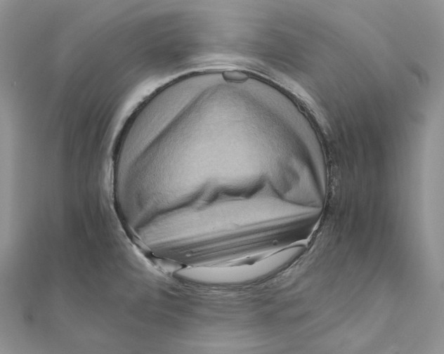 X0000110971472200907171700