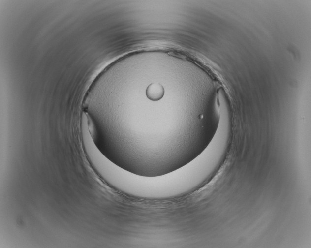 X0000110971473200907171700