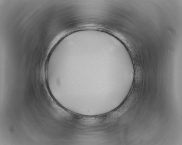 X0000110971474200907171700