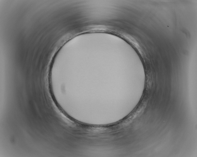 X0000110971475200907171700