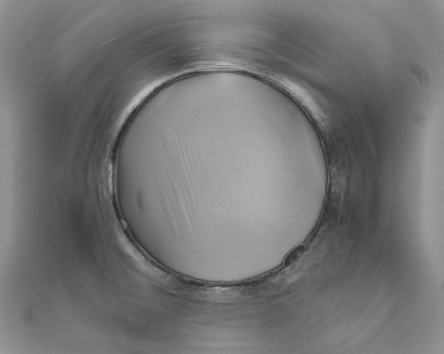 X0000110971476200907171700