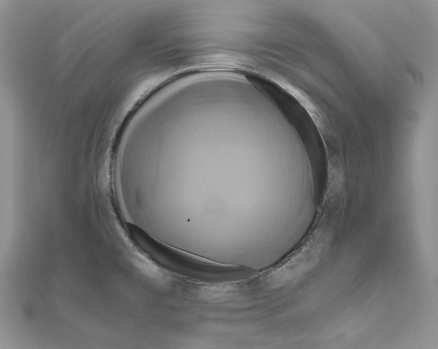 X0000110971477200907171700