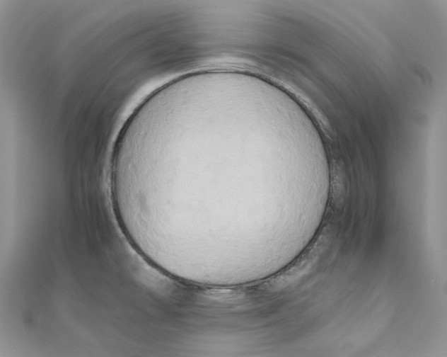 X0000110971478200907171700