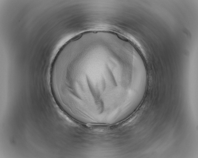 X0000110971480200907171700