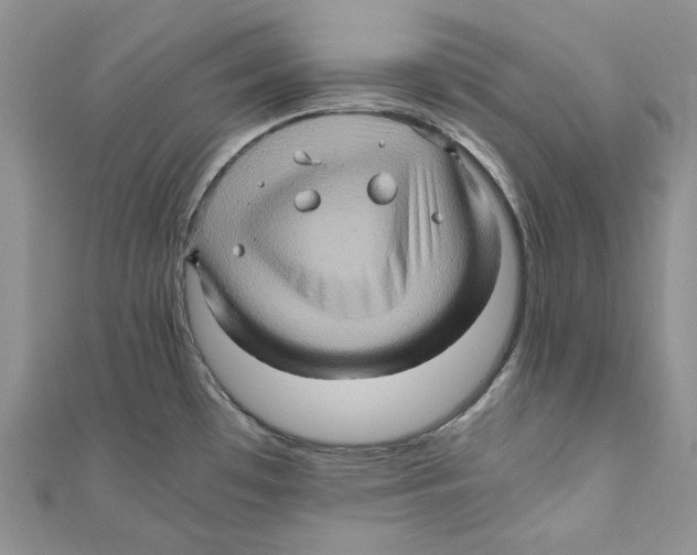 X0000110971481200907171700