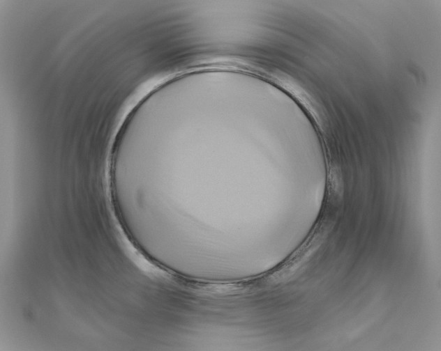 X0000110971482200907171700