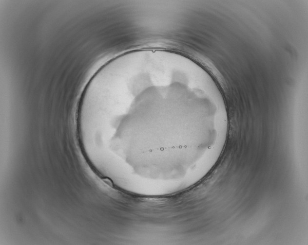 X0000110971483200907171700