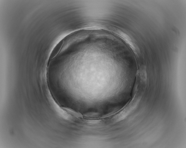 X0000110971484200907171700