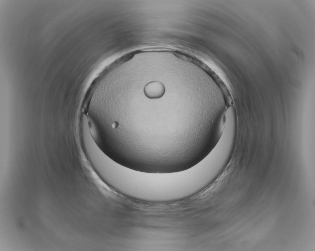 X0000110971485200907171700