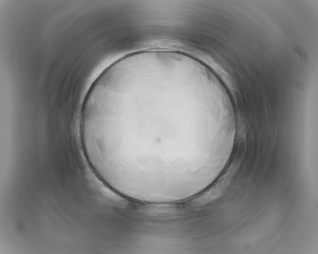X0000110971486200907171700