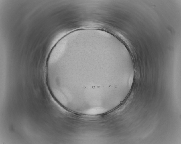 X0000110971487200907171700