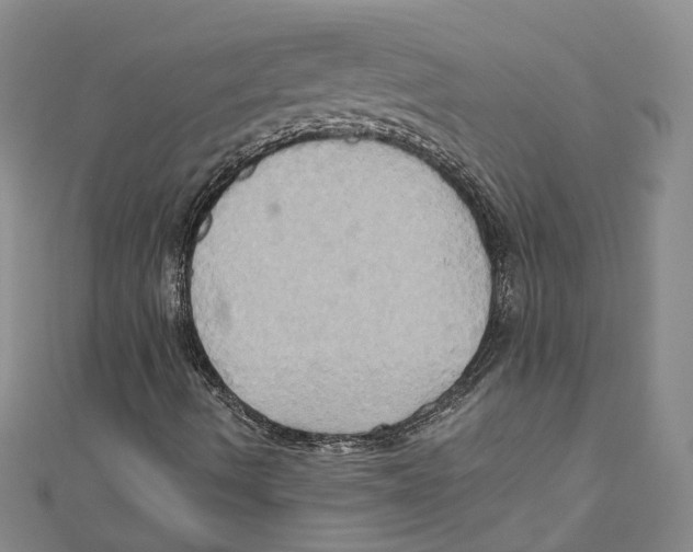 X0000110971490200907171659