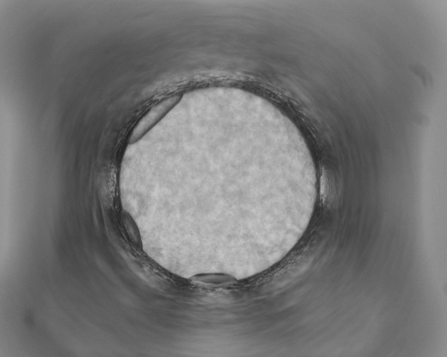 X0000110971492200907171659