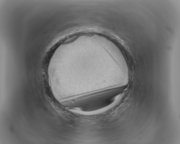 X0000110971496200907171659