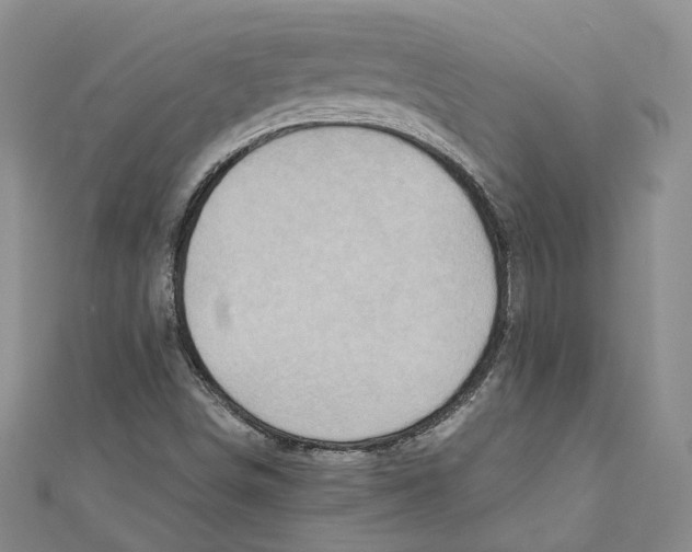 X0000110971498200907171659