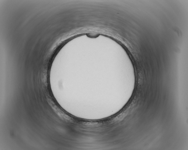X0000110971499200907171659