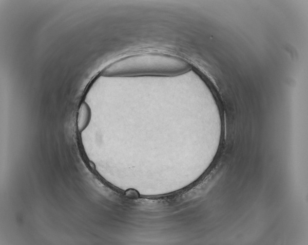 X0000110971500200907171659