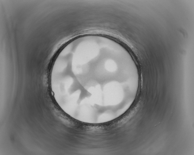 X0000110971501200907171659