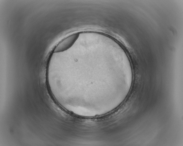 X0000110971504200907171659