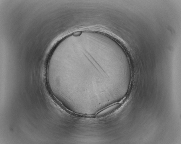 X0000110971506200907171659