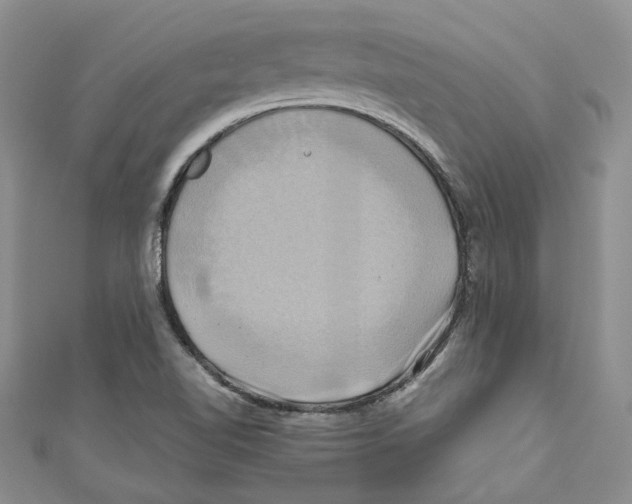 X0000110971510200907171659