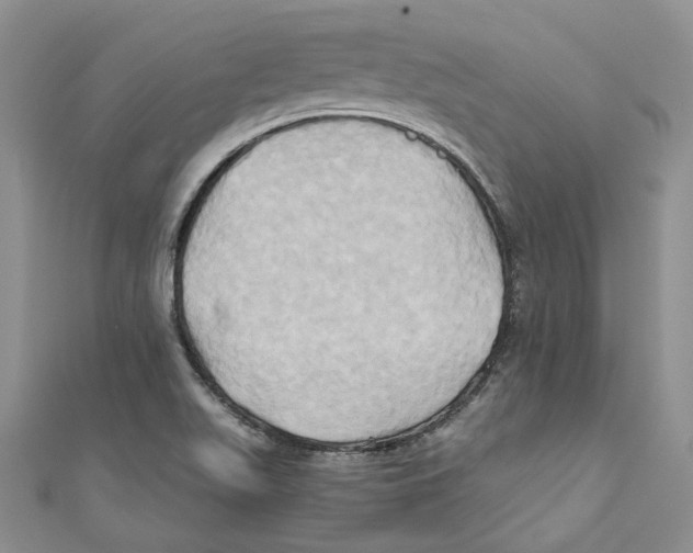 X0000110971511200907171659