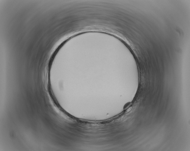 X0000110971515200907171659